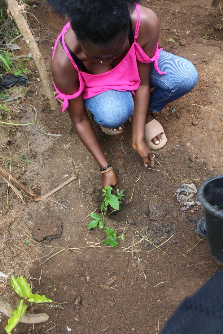 Community Outreach 54